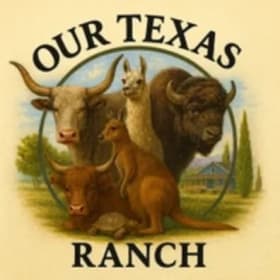 Our Texas Ranch One-Night Stay + Animal Feeding item