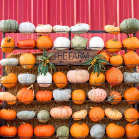 Family Season Pass item