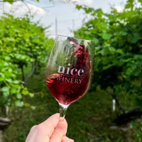 Nice Winery Wine Experience #1 item