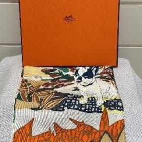 Photo of #5 Hermes Dog Scarf