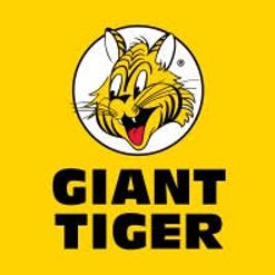 Giant Tiger Gift Card item