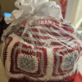 Comfort Cozy ALABAMA Gametime item