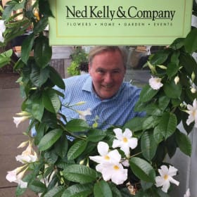 $120 Gift Certificate from Ned Kelly item