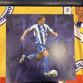 Danny Invincible signed canvas item