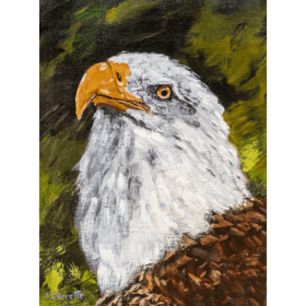 Tu veux ma photo? item