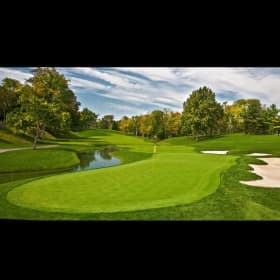 Pckg #1 - 2 Rounds of 18-Hole Golf (with cart) at "The Cat" item