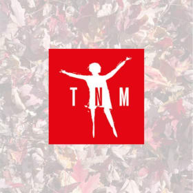 Paire de billets- Quichotte au TNM item