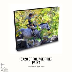 16x20 Mike Allen Foliage Rider Print item