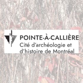 Laissez-passer double - Musée Pointe-à-Callières item