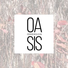 Paire de billets pour Oasis Immersion item