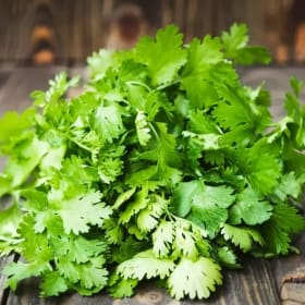 Coriandre item