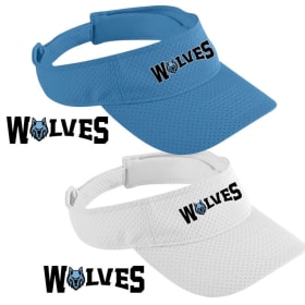 Visor item