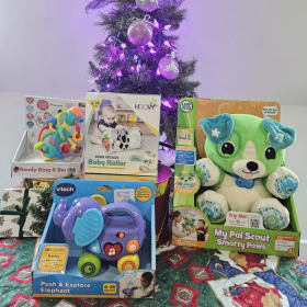 🐘 Curious Explorers Play Set (6+ months) item