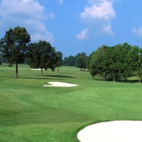 Round of Golf for 4 & Dinner Credit of $120 item