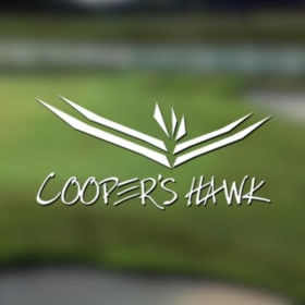 Round of Golf for 4 & Dinner Credit of $120 item