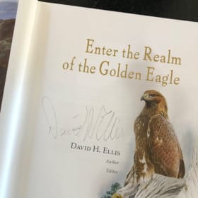 Enter The Realm Of The Golden Eagle item