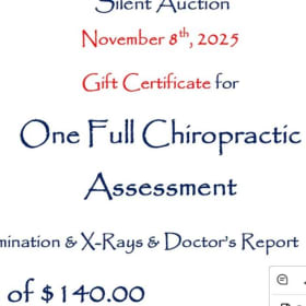 Full Chiropractic Assessment item