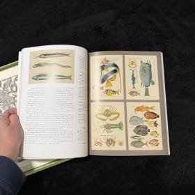 Natural Histories Essays & Plates item