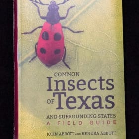 Common Insects of Texas of Texas item