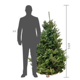 5-6ft Christmas Tree (Deposit Only) item
