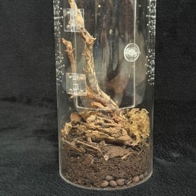 Arboreal Terrarium item