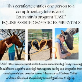 Equinimity's EASE Intensive item