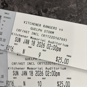 Hockey Night Out item