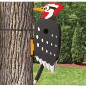 "Wacky Woodpecker" Birdhouse - Retail $40 item