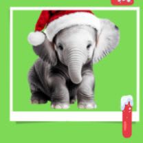 Baby Elephant I item