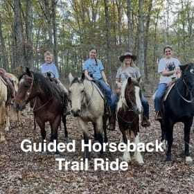 Guided Horseback Ride item