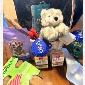 "Premier Pets" Basket #2 - Retail $125 item