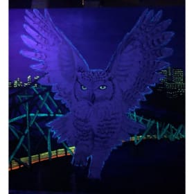 Vol de nuit à Montréal item