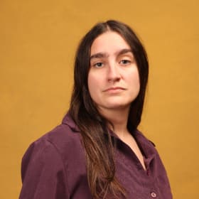 Two hour art collection consultation item