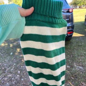 Top Paw Green Stripped Sweater (Size: Medium) item