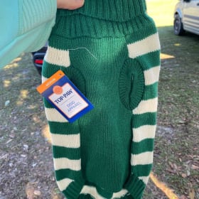 Top Paw Green Stripped Sweater (Size: Medium) item