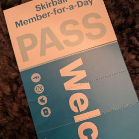 Skirball, Member-of-the-Day Passes (up to 6) item