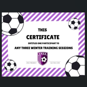 SMSA Winter Training item