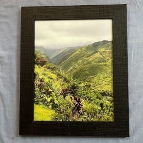 Mt Ka`ala Trail Photograph item