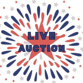 Live Aution item