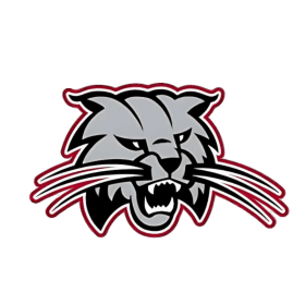 Bobcat Head - VINYL STICKER item