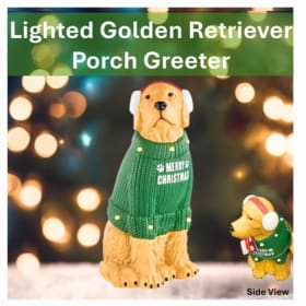 Lighted Porch Greeter: Value $40 item