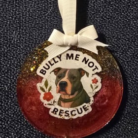 Bully Me Not ornament item