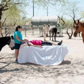 Couple's Reiki Session w/ Owl Reiki & Wholehearted Reiki item