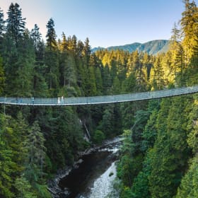 Capilano Suspension Bridge - 4 Tickets ($312 value) item