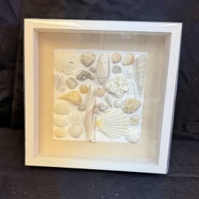 Shell Shadowbox item
