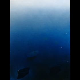 Étude de barques item