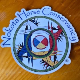 Medicine Wheel Magnet item