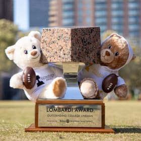 Brown or Cream Build-a-Bear Bears with White T-Shirt item