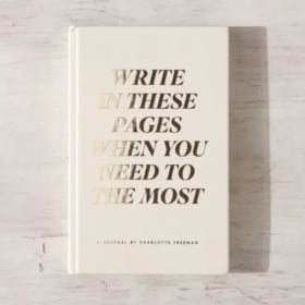 Write in These Pages Journal item