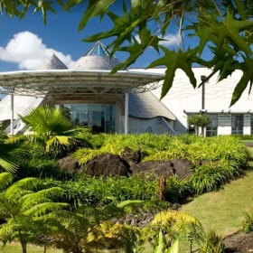ʻImiloa Astronomy Center Single Family Day Pass item